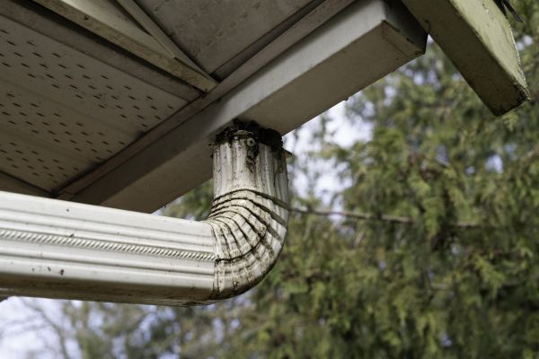 Cost of Roof Drain Replacement in Jackson