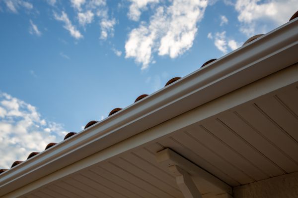 Cost of K Style Gutter Installation in Jackson