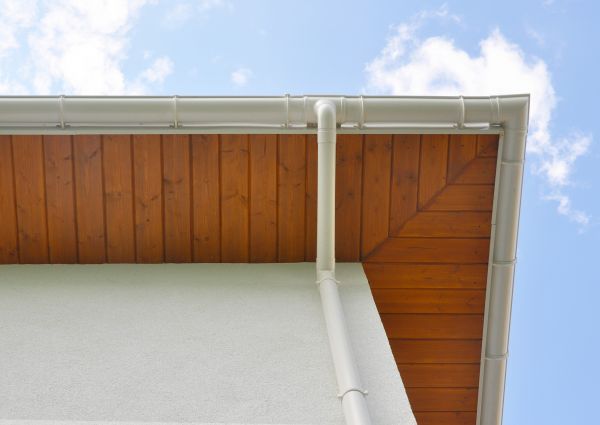 Cost of Downspout Diverter Service in Jackson